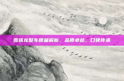 雪铁龙整车质量解析，品质卓越，口碑传承