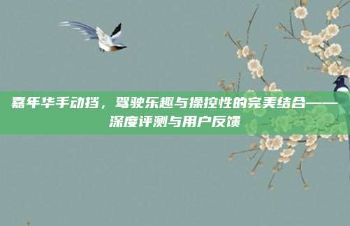 嘉年华手动挡,驾驶乐趣与操控性的完美结合——深度评测与用户反馈