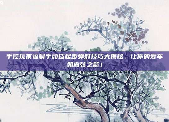 手控玩家福利手动挡起步弹射技巧大揭秘,让你的爱车如离弦之箭!