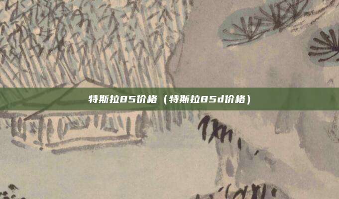 特斯拉85价格(特斯拉85d价格)