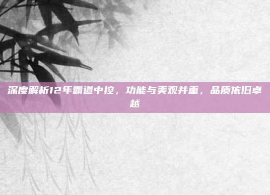 深度解析12年霸道中控,功能与美观并重,品质依旧卓越