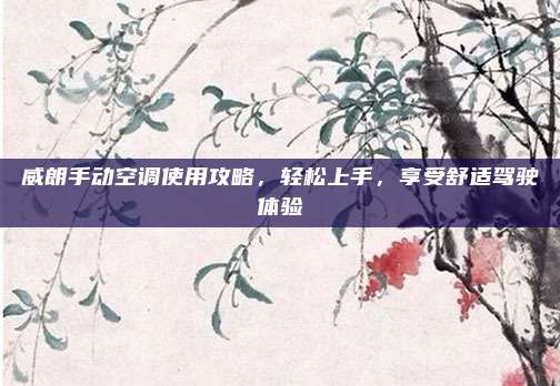 威朗手动空调使用攻略，轻松上手，享受舒适驾驶体验