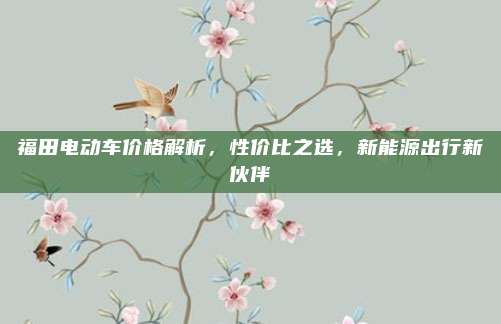 福田电动车价格解析,性价比之选,新能源出行新伙伴