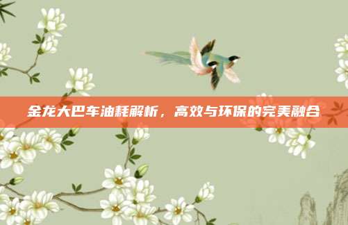 金龙大巴车油耗解析，高效与环保的完美融合