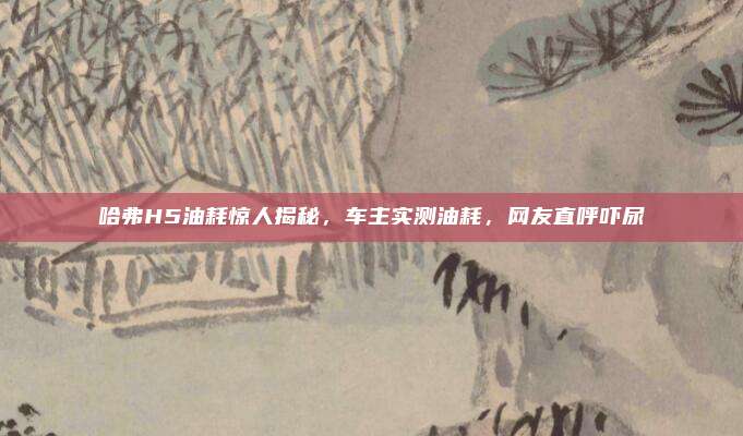 哈弗H5油耗惊人揭秘，车主实测油耗，网友直呼吓尿