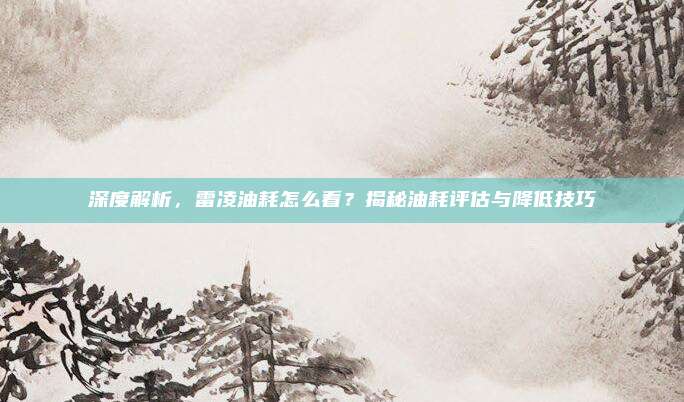深度解析，雷凌油耗怎么看？揭秘油耗评估与降低技巧