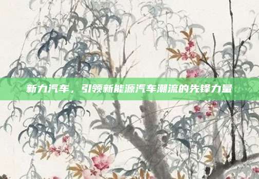 新力汽车,引领新能源汽车潮流的先锋力量