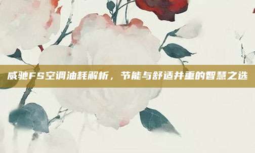 威驰FS空调油耗解析，节能与舒适并重的智慧之选