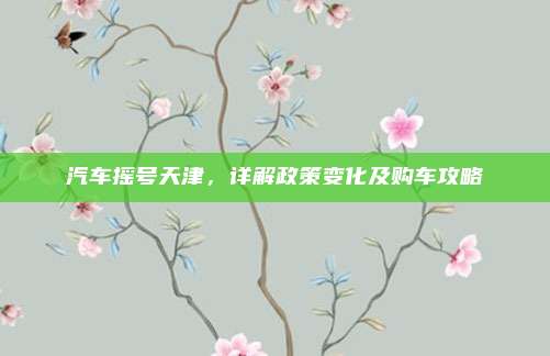 汽车摇号天津,详解政策变化及购车攻略