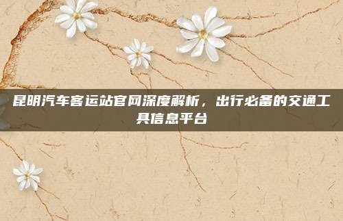 昆明汽车客运站官网深度解析，出行必备的交通工具信息平台