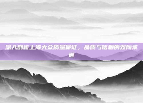 深入剖析上海大众质量保证,品质与信赖的双向承诺