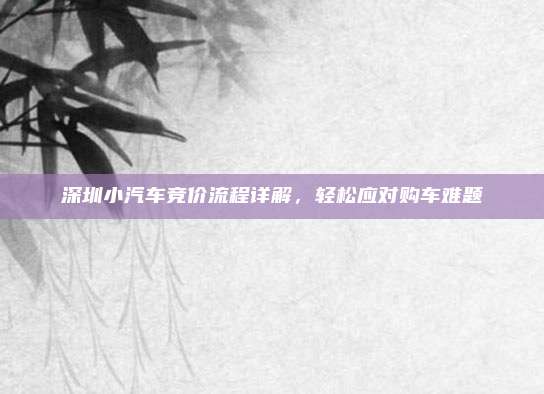 深圳小汽车竞价流程详解,轻松应对购车难题