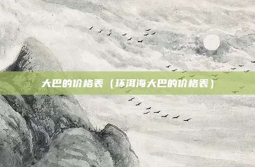大巴的价格表(环洱海大巴的价格表)