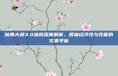 林荫大道3.0油耗深度解析,燃油经济性与性能的完美平衡