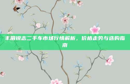 丰田锐志二手车市场行情解析，价格走势与选购指南