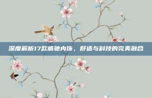 深度解析17款威驰内饰,舒适与科技的完美融合