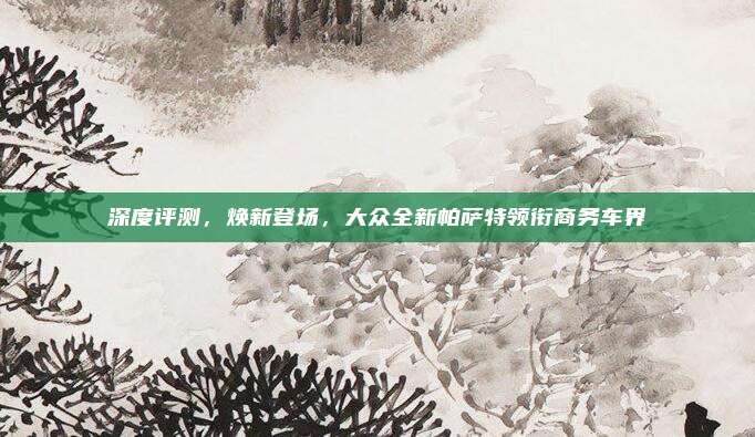深度评测,焕新登场,大众全新帕萨特领衔商务车界