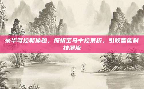 豪华驾控新体验,探析宝马中控系统,引领智能科技潮流