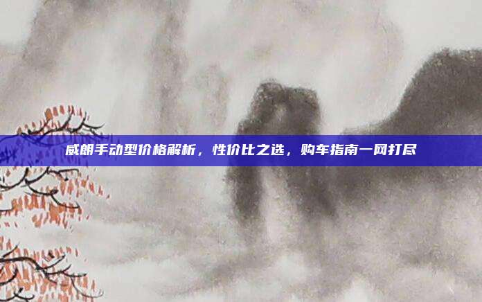 威朗手动型价格解析,性价比之选,购车指南一网打尽