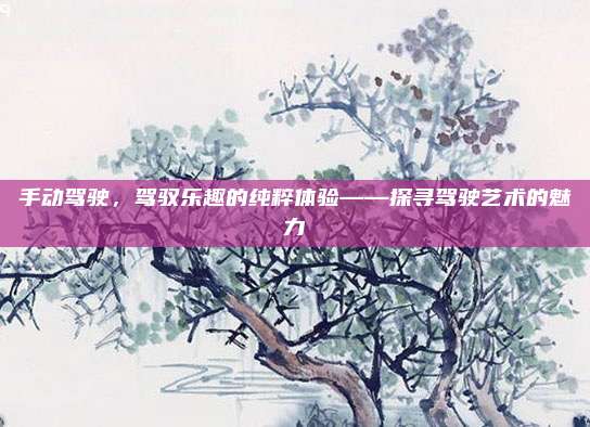 手动驾驶，驾驭乐趣的纯粹体验——探寻驾驶艺术的魅力