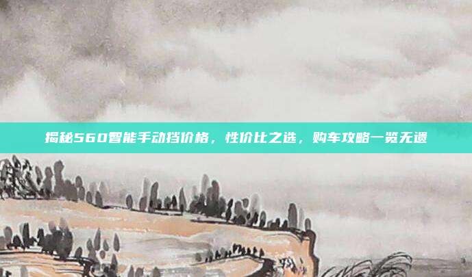 揭秘560智能手动挡价格，性价比之选，购车攻略一览无遗
