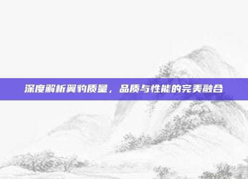 深度解析翼豹质量，品质与性能的完美融合