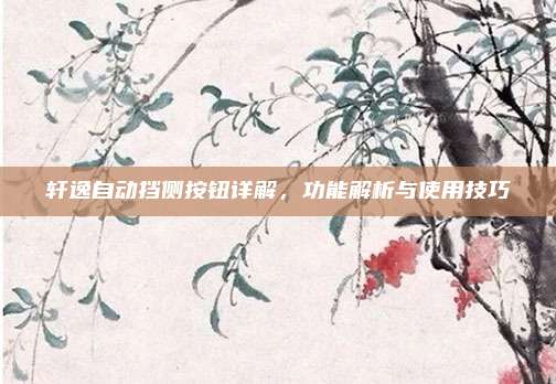 轩逸自动挡侧按钮详解，功能解析与使用技巧