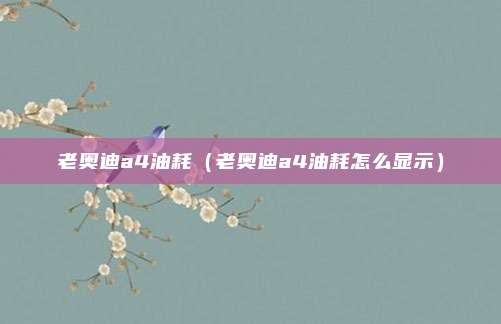 老奥迪a4油耗（老奥迪a4油耗怎么显示）
