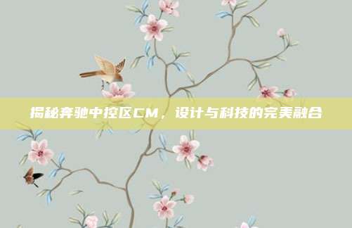 揭秘奔驰中控区CM,设计与科技的完美融合
