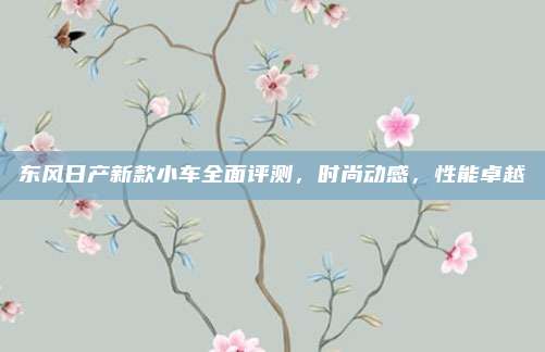东风日产新款小车全面评测,时尚动感,性能卓越