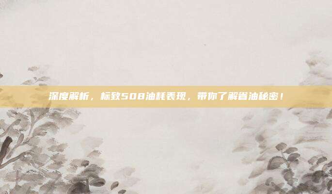 深度解析，标致508油耗表现，带你了解省油秘密！