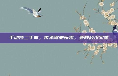 手动挡二手车,传承驾驶乐趣,兼顾经济实惠