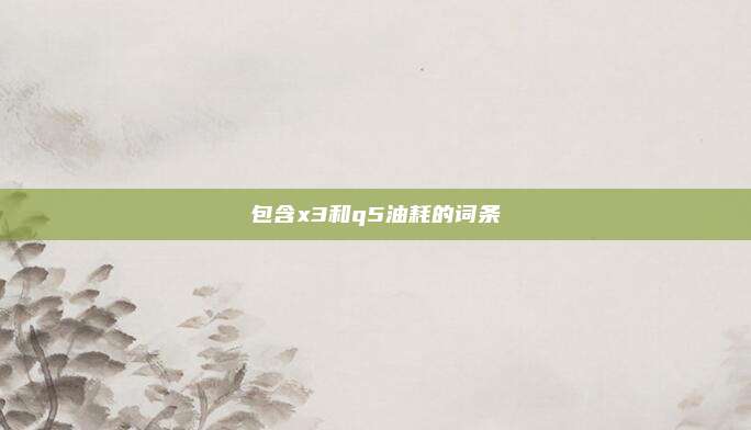 包含x3和q5油耗的词条