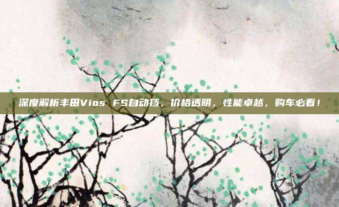 深度解析丰田Vios FS自动挡，价格透明，性能卓越，购车必看！