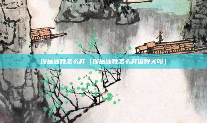 探岳油耗怎么样（探岳油耗怎么样值得买吗）