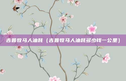 吉普牧马人油耗（吉普牧马人油耗多少钱一公里）