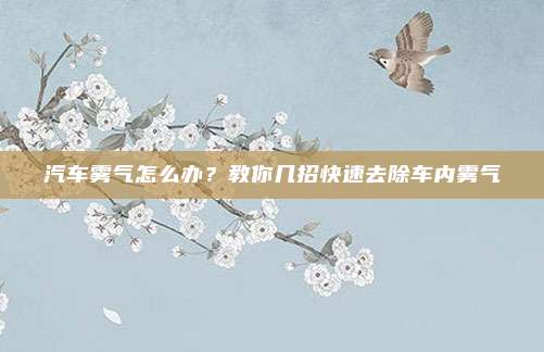 汽车雾气怎么办?教你几招快速去除车内雾气