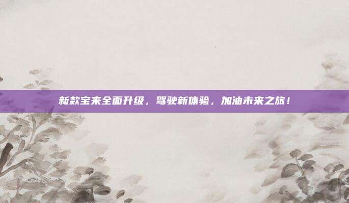 新款宝来全面升级,驾驶新体验,加油未来之旅!