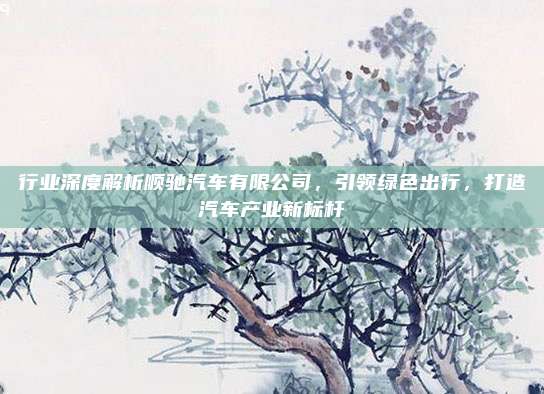行业深度解析顺驰汽车有限公司,引领绿色出行,打造汽车产业新标杆