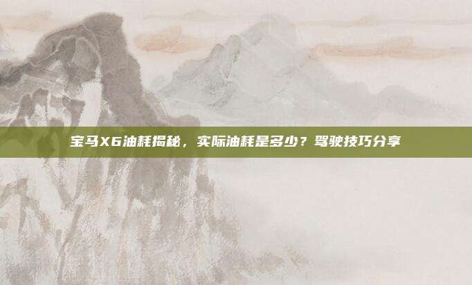 宝马X6油耗揭秘,实际油耗是多少?驾驶技巧分享