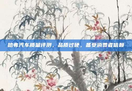 哈弗汽车质量评测，品质过硬，备受消费者信赖
