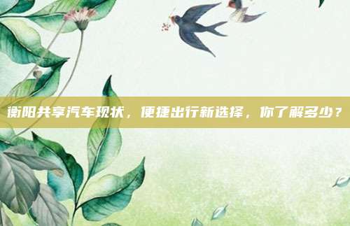 衡阳共享汽车现状,便捷出行新选择,你了解多少?