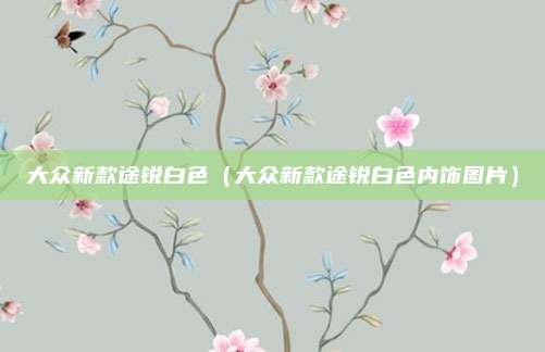 大众新款途锐白色(大众新款途锐白色内饰图片)