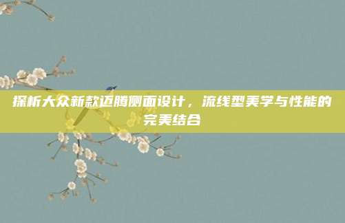 探析大众新款迈腾侧面设计,流线型美学与性能的完美结合