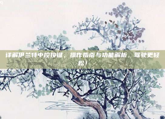详解伊兰特中控按键，操作指南与功能解析，驾驶更轻松！