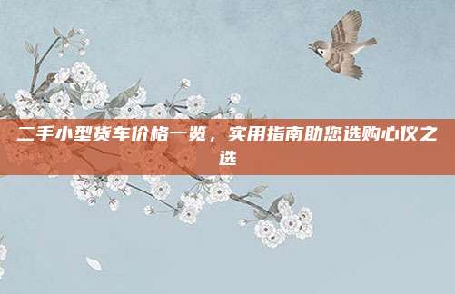 二手小型货车价格一览,实用指南助您选购心仪之选