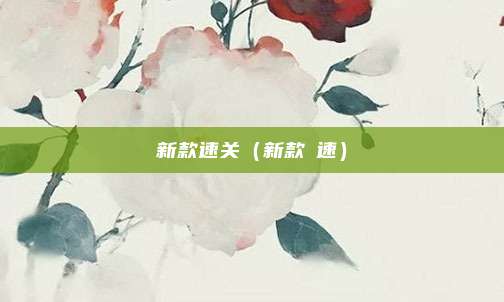 新款速关（新款鸰速）