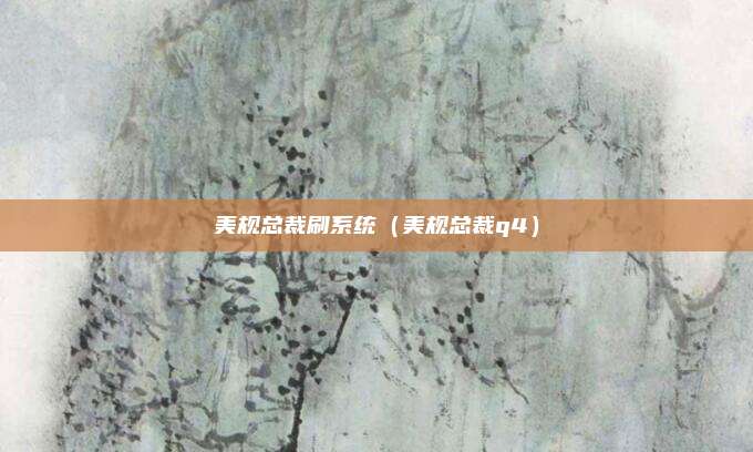 美规总裁刷系统（美规总裁q4）
