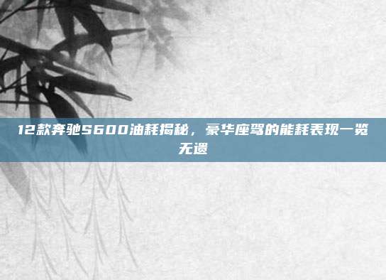 12款奔驰S600油耗揭秘,豪华座驾的能耗表现一览无遗