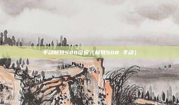 手动标致508论坛（标致508 手动）